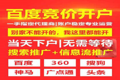 竞价SEM案例分享：快速提高网站流量技巧